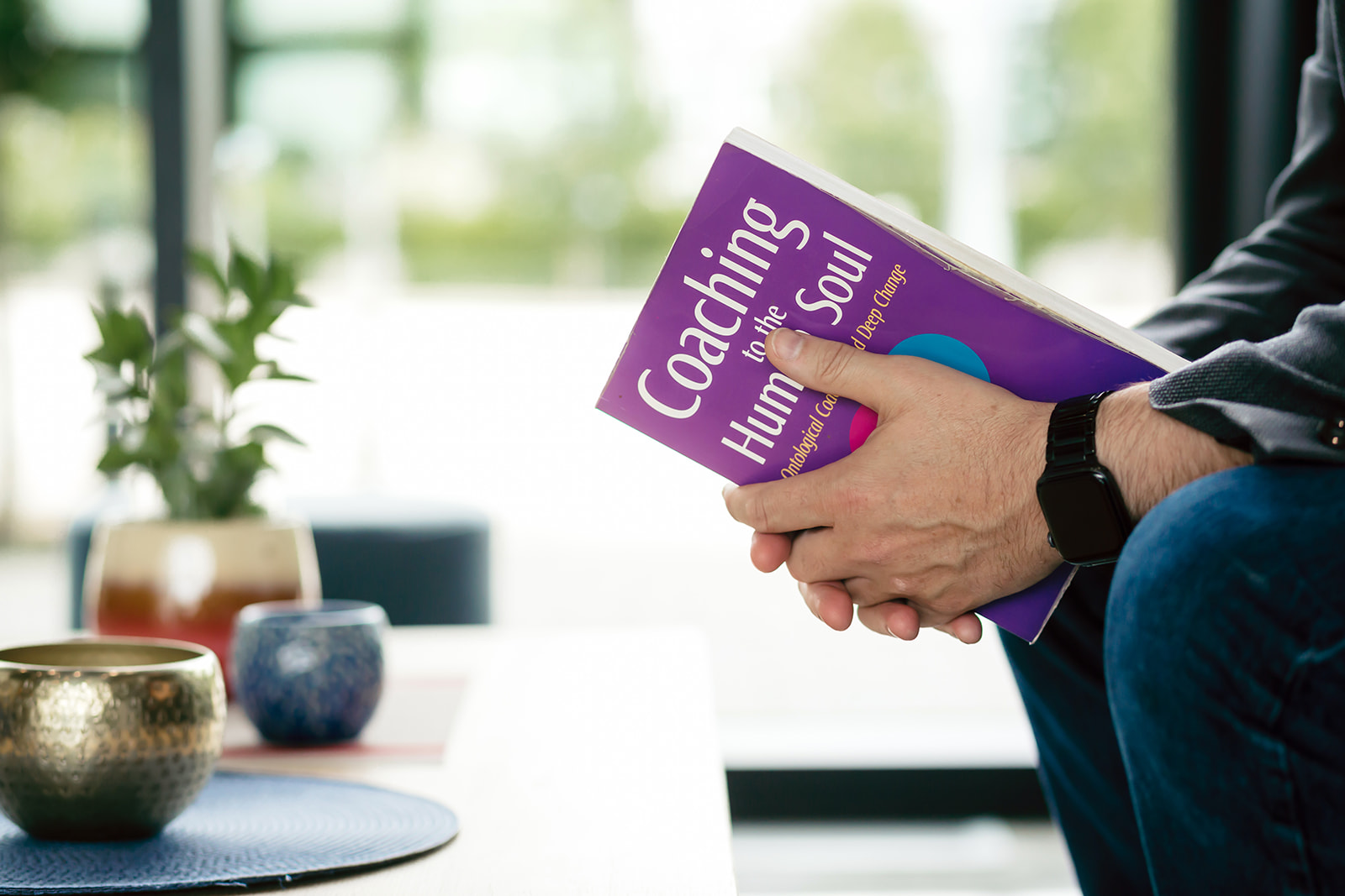Coaching to the Human Soul Book